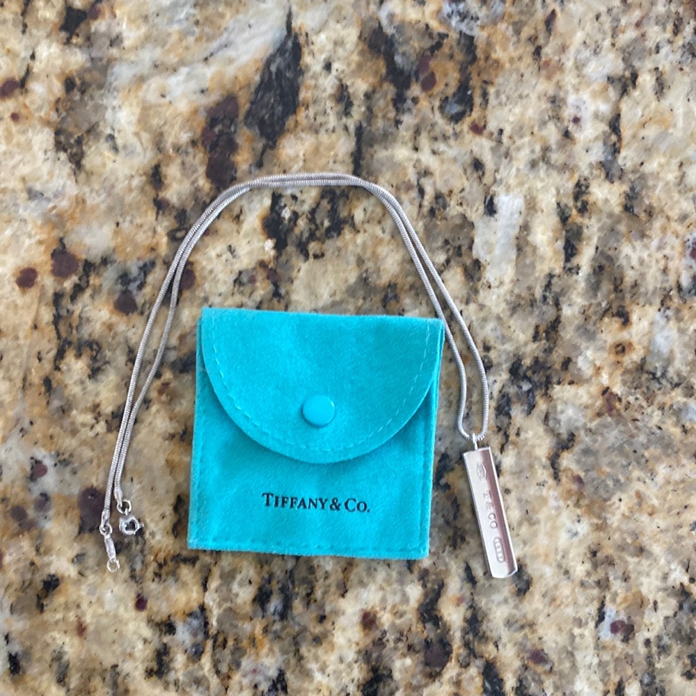 Tiffany and Co. Necklace and charm